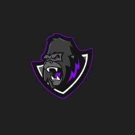 HONARY CSGO