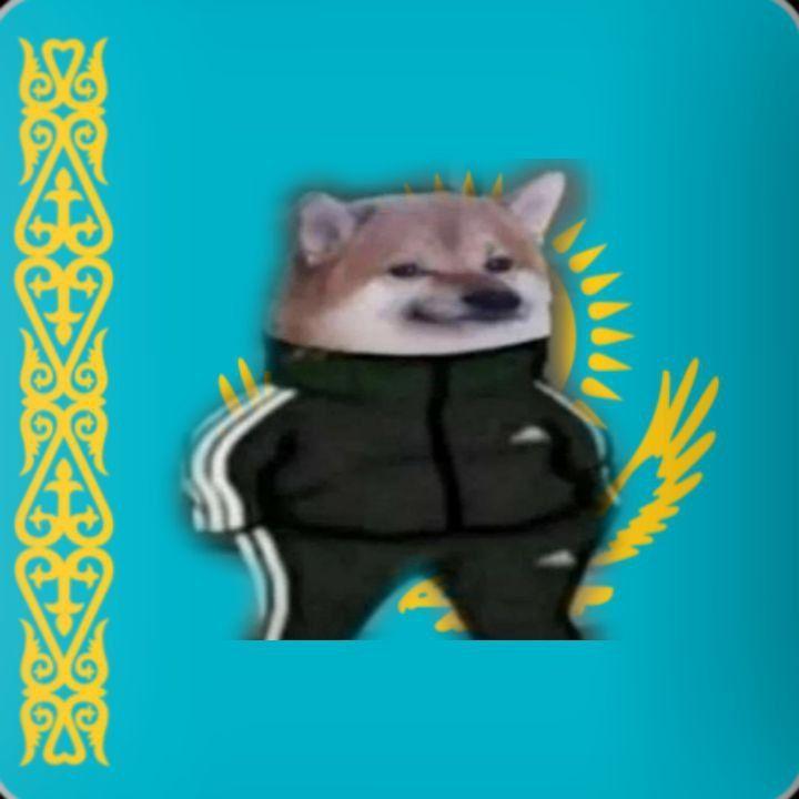 spulaevskiy avatar