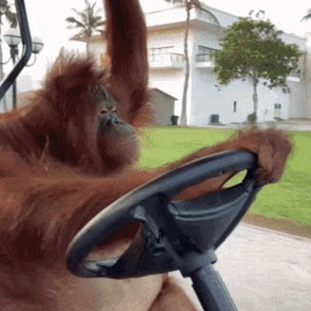 buberto