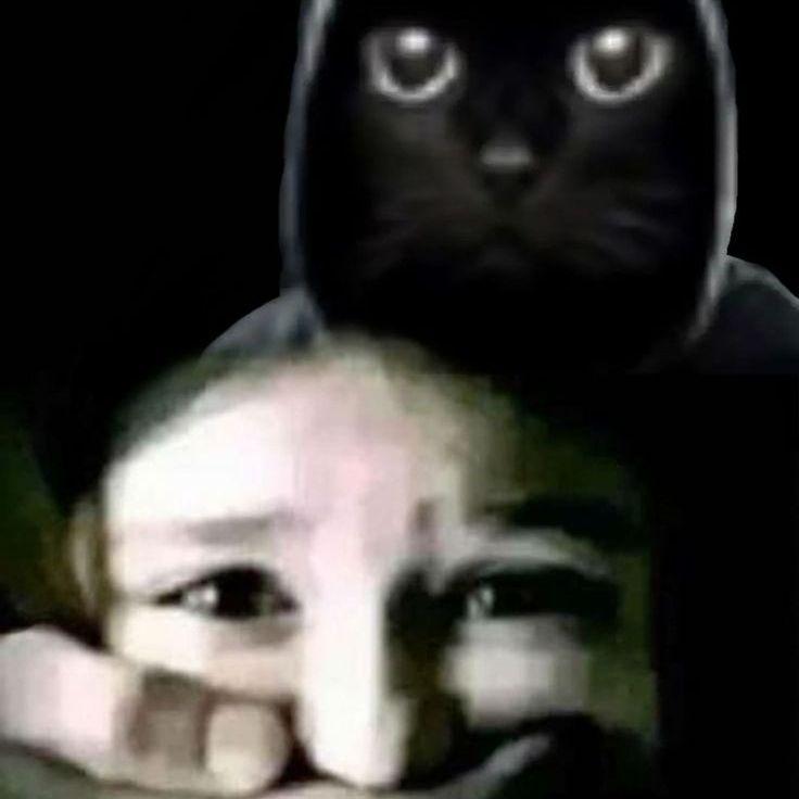 sincerityyy avatar