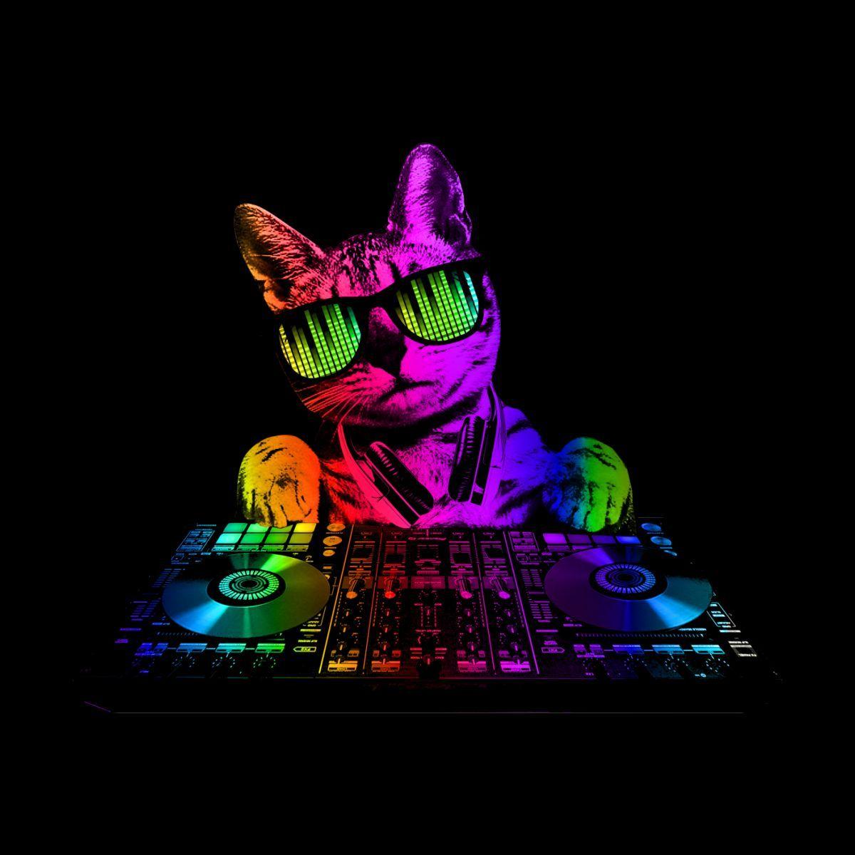 Player MeowzinHaze avatar