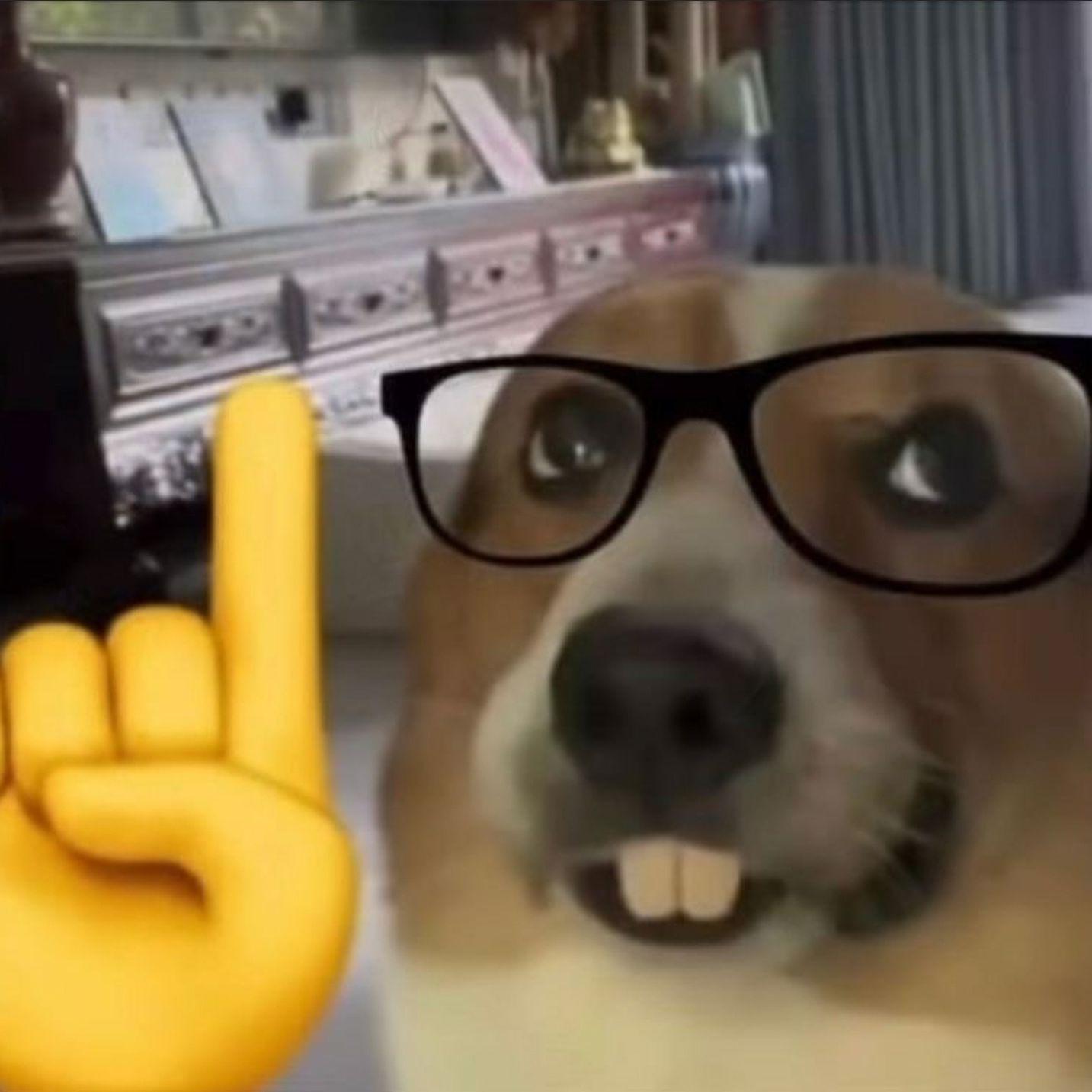 Szymoo_