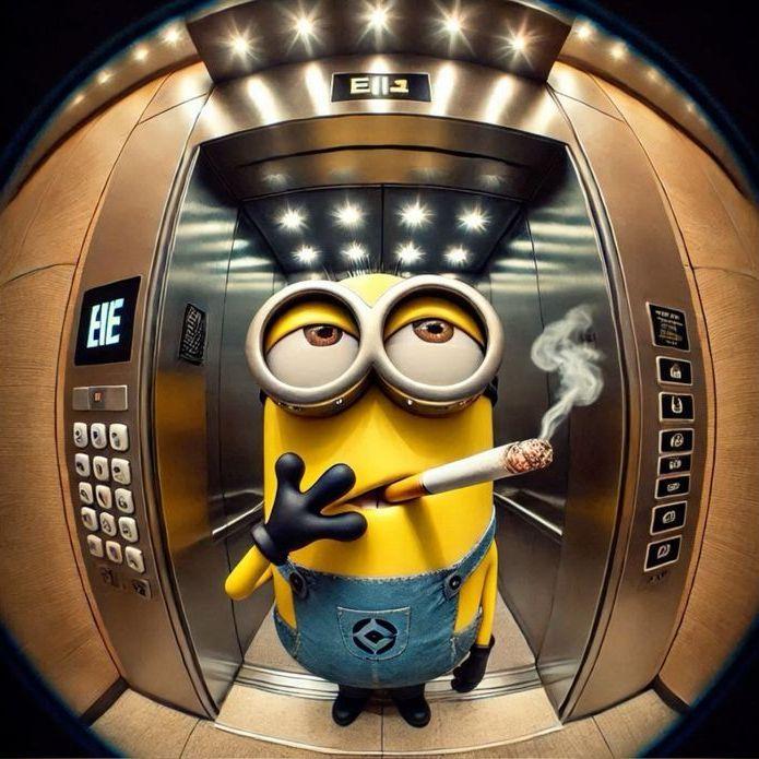 _Gintelmen_ avatar