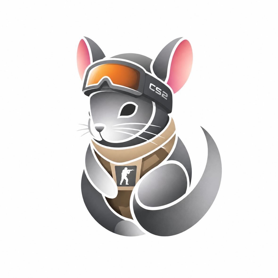 Team Chinchillas