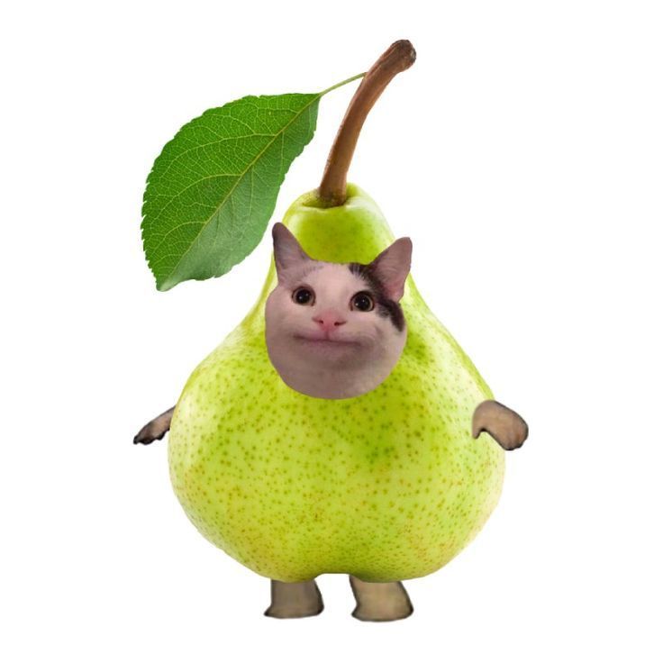 najgruszej