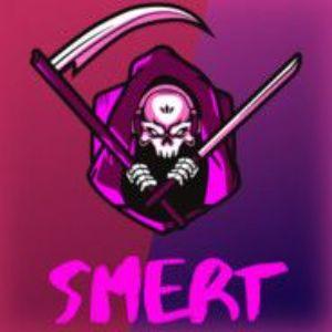 Player _SmeRTIK_ avatar