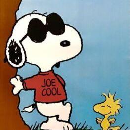 cooljoe avatar