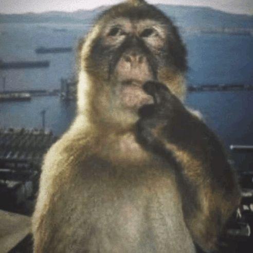 Momomionelu