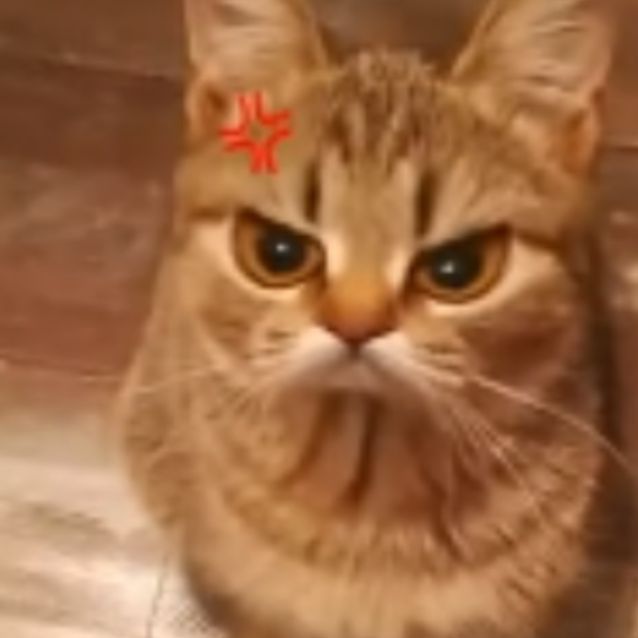 SmokeyDraper