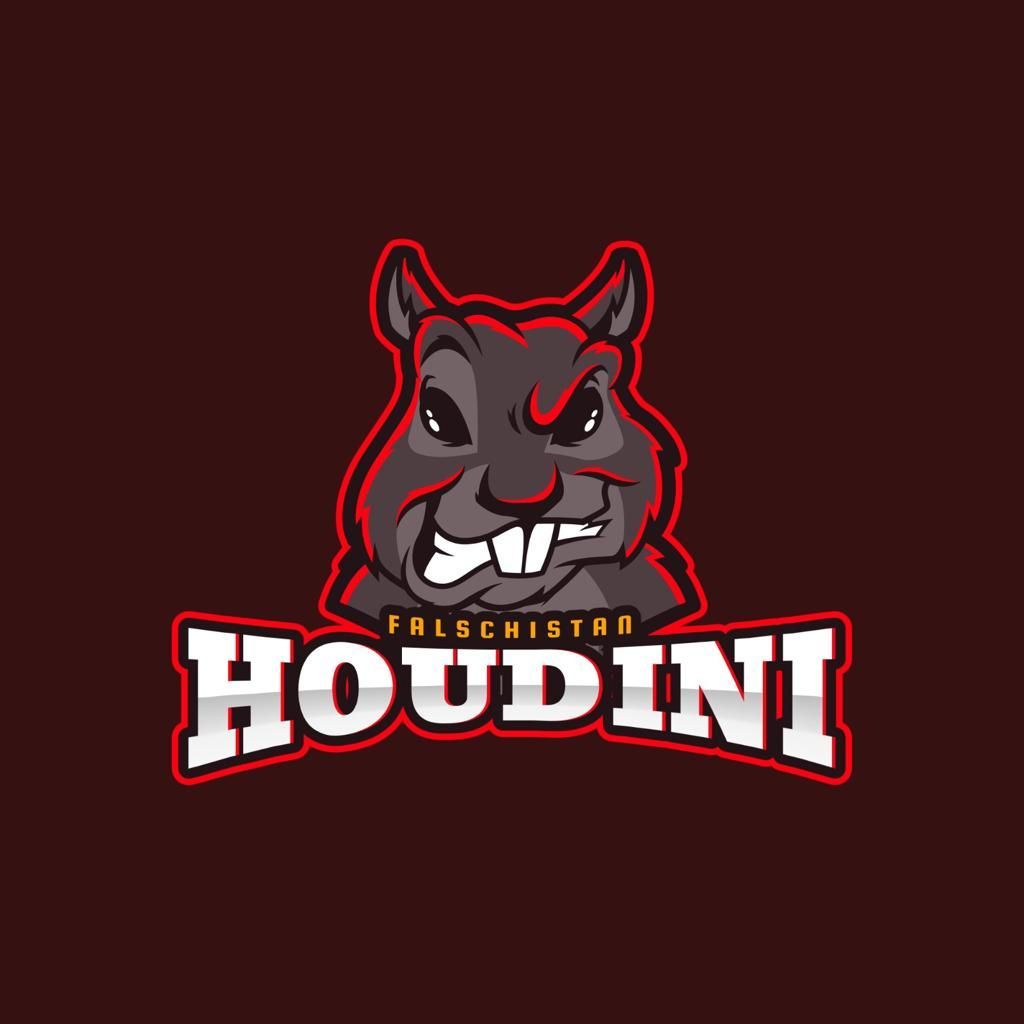 HoudiniEU FACEIT avatar
