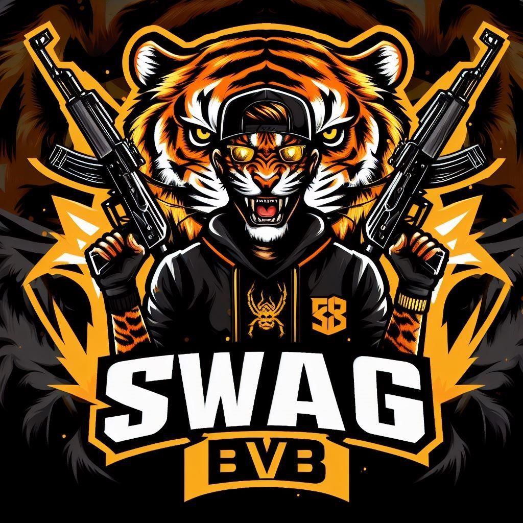 SwagBvB avatar