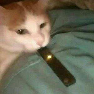 deffen_xD avatar