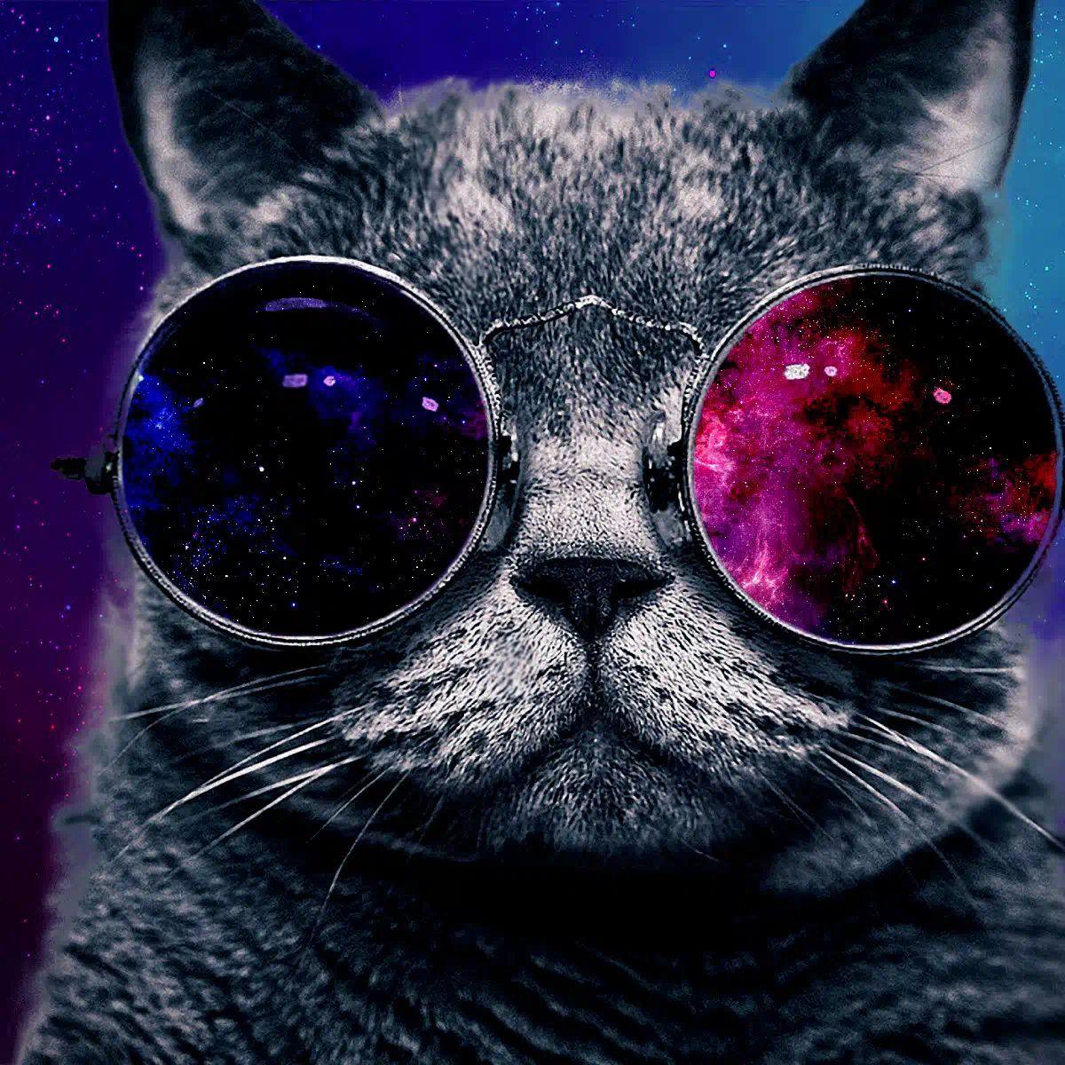 f1trek avatar