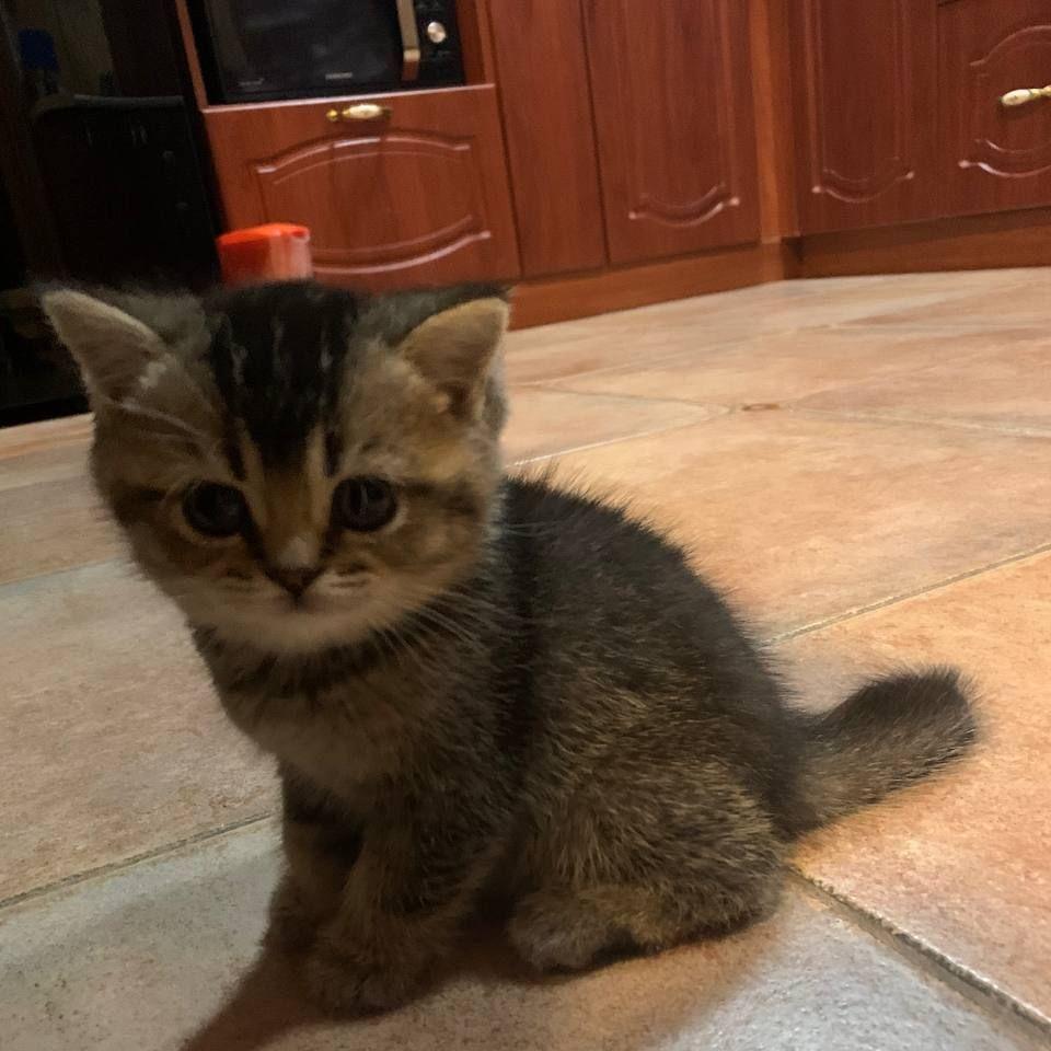 MaFI0zIO