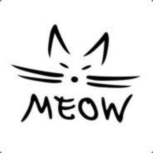 Player MEOW-93 avatar