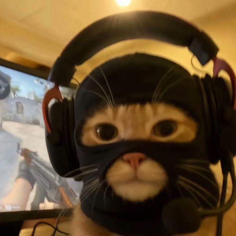 wooksz333 avatar