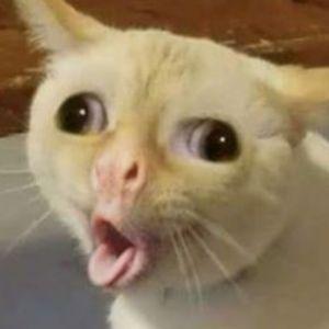 ElHoudini avatar