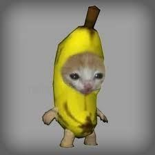 Player thedudlaif avatar