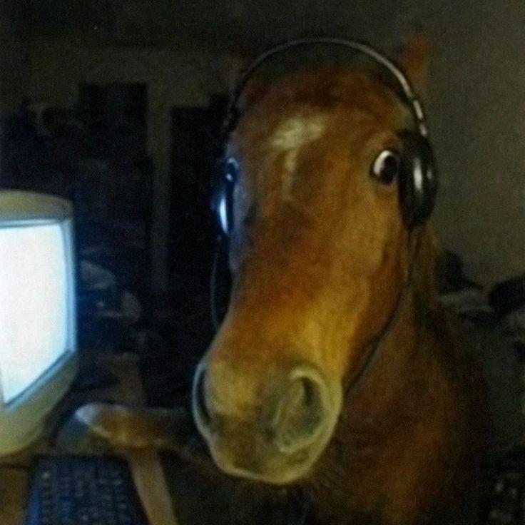 hATR3D avatar