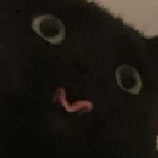 Gouge avatar
