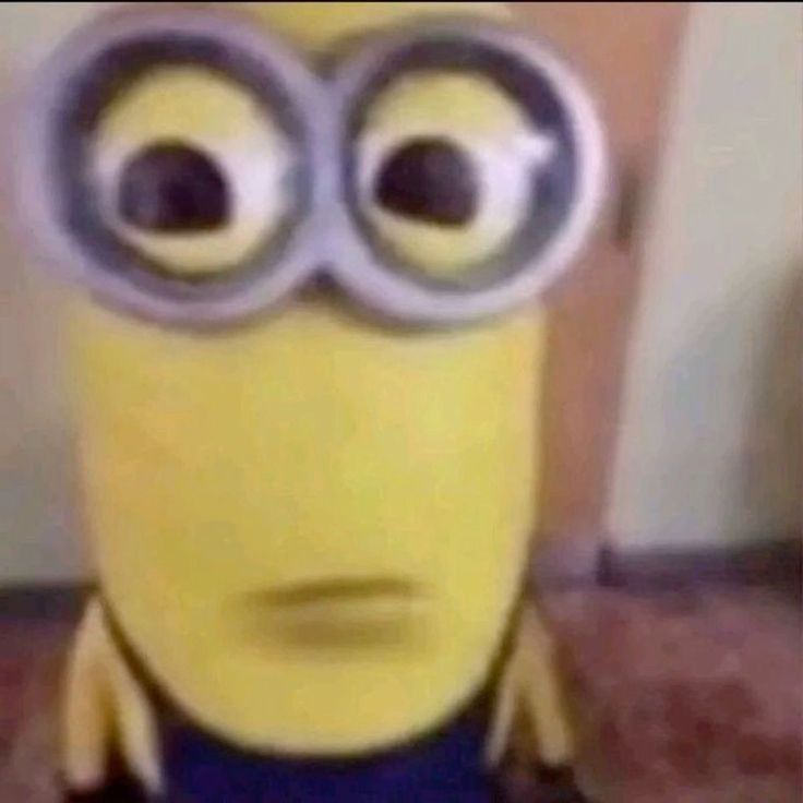 mirnuuu1