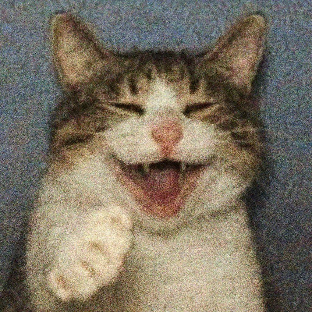 US24 avatar