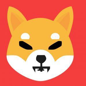 rEvalz avatar