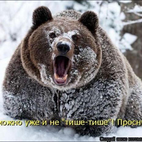 RADIK_TUGUZ