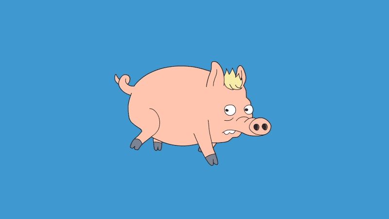 team_-Spider-pig-