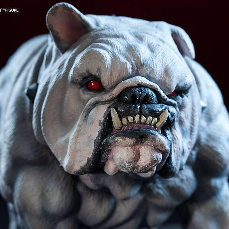 MaxiDawgs