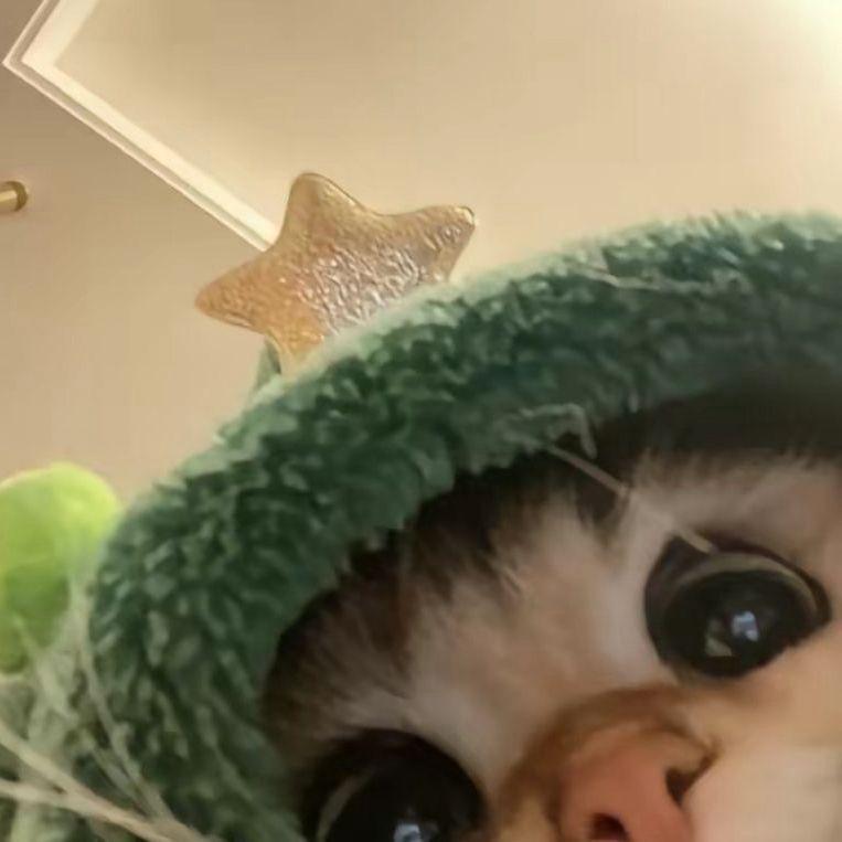 FDFEHNIK avatar