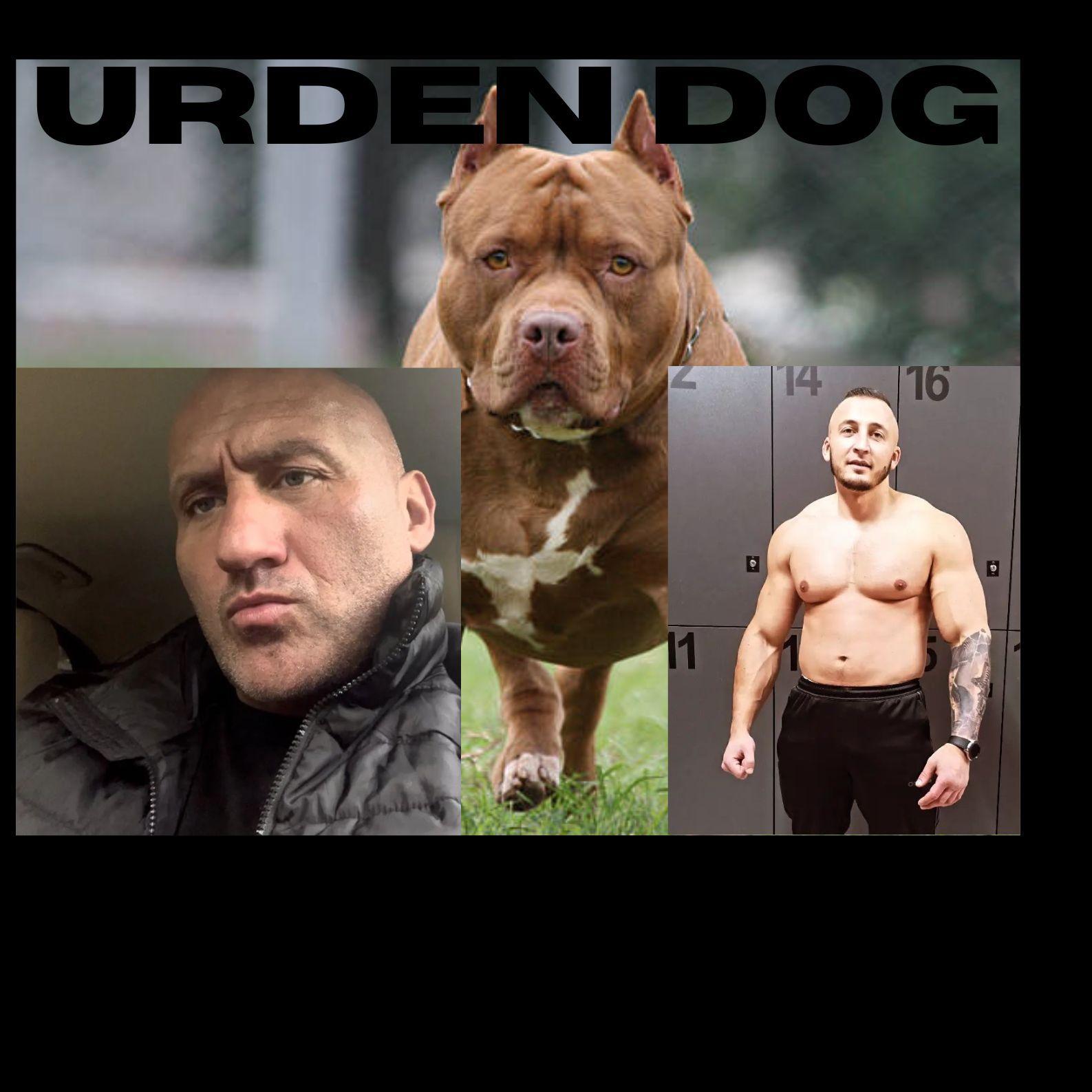 UD_Arczi avatar
