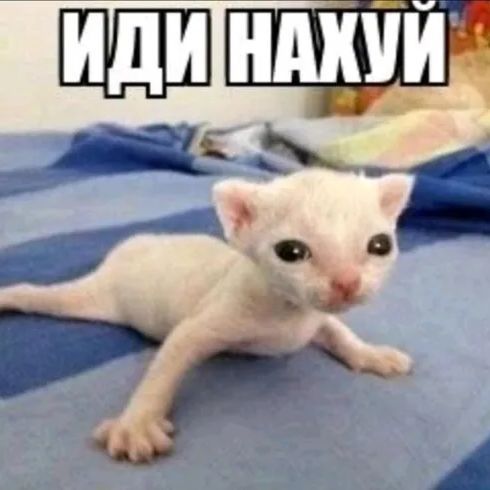 137mamkoeb
