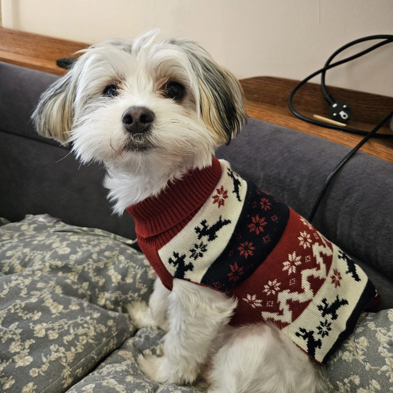 LilMR