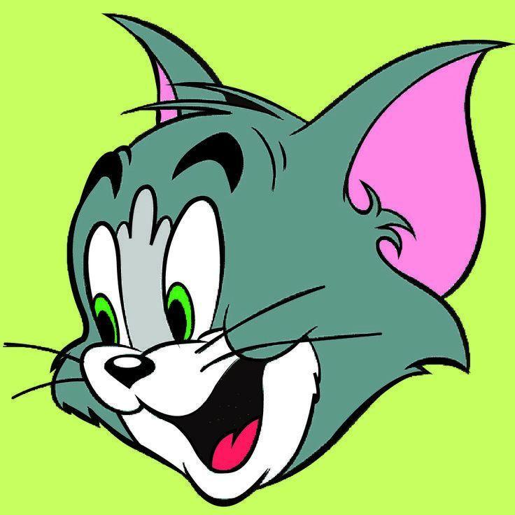 amal_1208 avatar