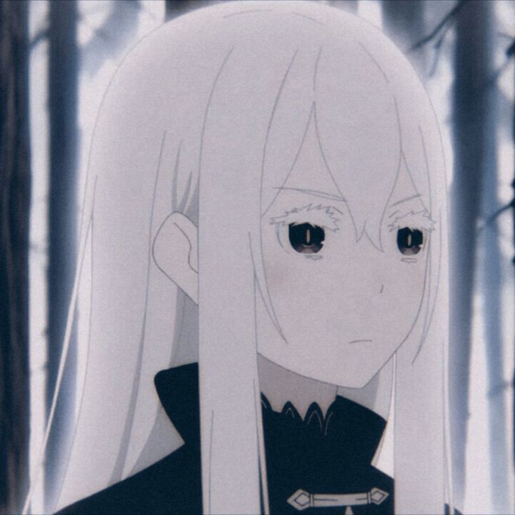 team_Echidna_Zero