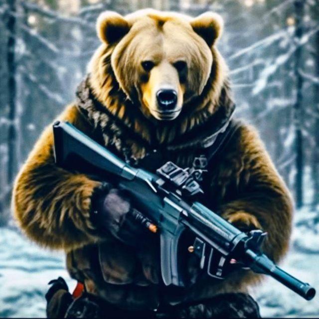 MegaBear4105 avatar