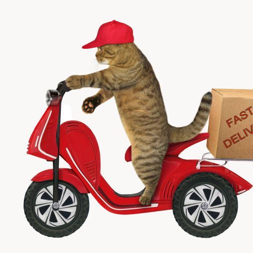 Scootermagoo