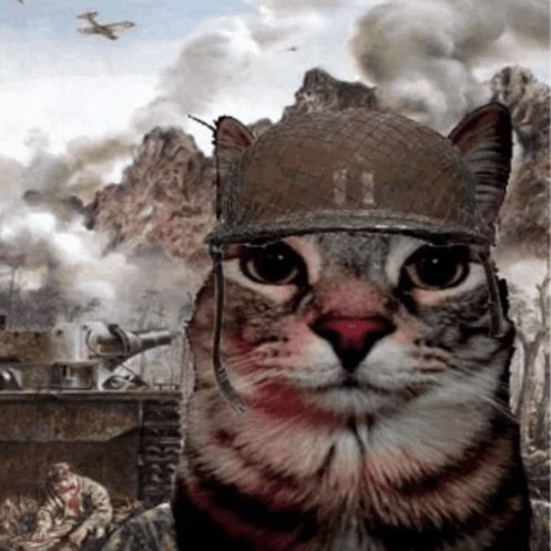 C19Force avatar