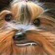 BillTin