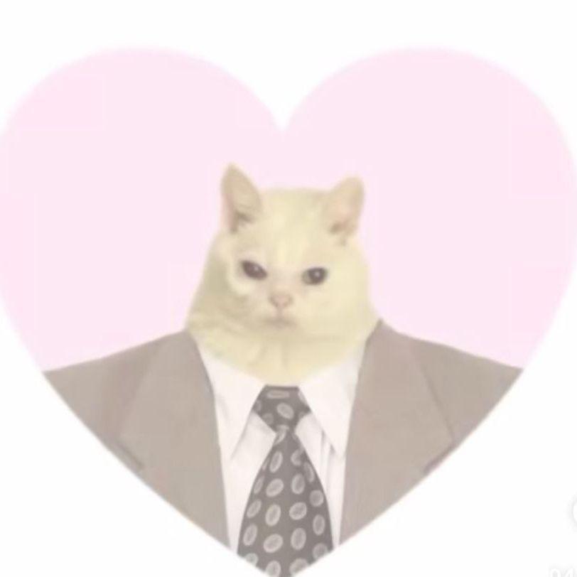 network avatar