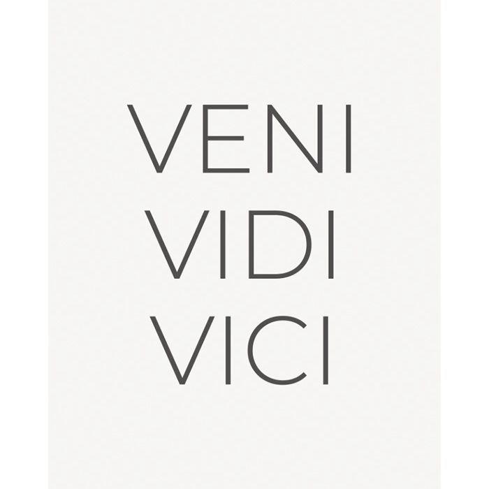 VENlVIDlVICl
