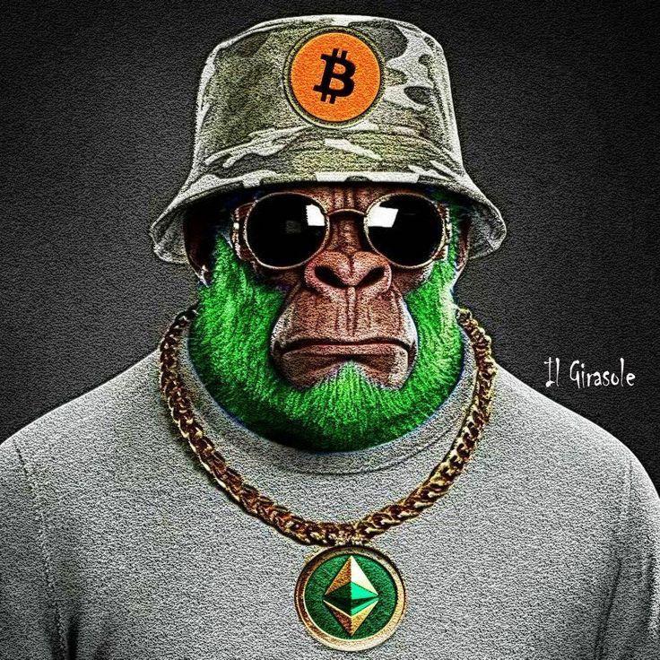 barv1ha