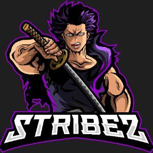 stribez_ avatar