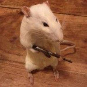 Zvezdachka avatar