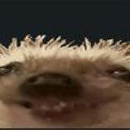 f0lty-