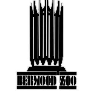 Player BERM00DZ00 avatar