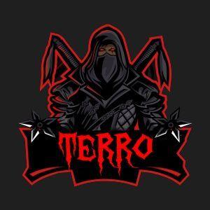 Player terRo-dll avatar