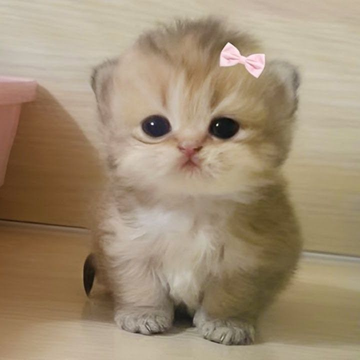 Le_n