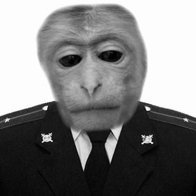 Volsheebniik